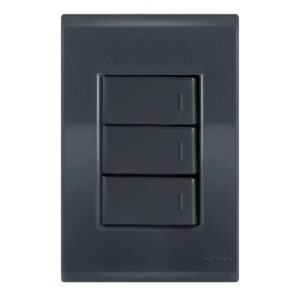 INTERRUPTOR LIZ 2TS+1TO 3P GRAFITE