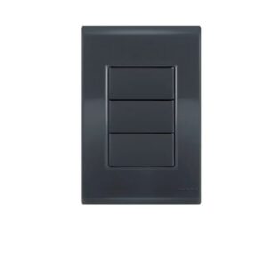 PLACA CEGA C/SUP. 4X2 LIZ GRAFITE