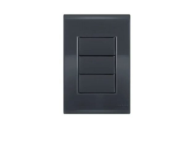 PLACA CEGA C/SUP. 4X2 LIZ GRAFITE