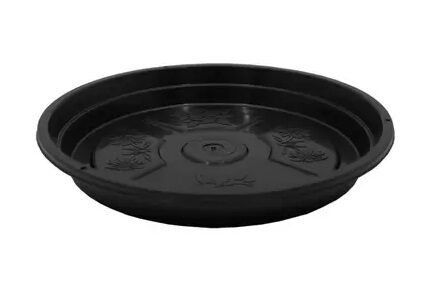 PRATO N4 RD PRETO JORANI