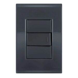 INTERRUPTOR SIMPLES LIZ 10A/250V GRAFITE